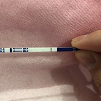 27号排卵 4月10号来姨妈 这几天小腹疼 我以为是月经前兆呢 今天晚上八点左右心血来潮试了试 有淡淡的红...