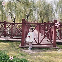 宝宝一岁七个多月了，我是一个全职妈妈，宝宝每天除了吃母乳以外，还会吃面条，水果，蔬菜等等，每天家...