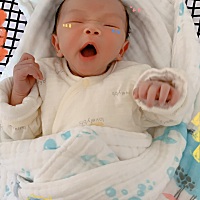 小可爱上线咯……