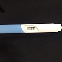 这是怀孕了么？