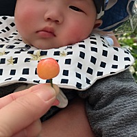 我的宝宝在3月31号第100天接种了百白破育苗，现在已经过去10天了，我发现宝宝接种百白破前比较爱聊天很...