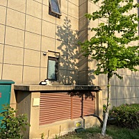 晚上睡觉之前测了一下 白板 可能又要凉凉了 哎