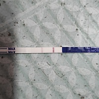 希望好好的 希望好好的