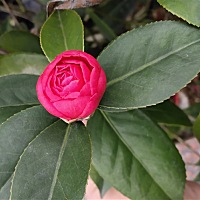 各位宝妈你们的房事，是你主动的多还是你老公主动的多，我的几乎都是我老公主动的多。欢迎大家踊跃回答。