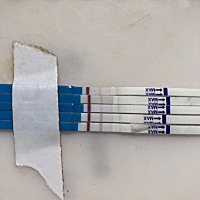 看着还有希望吗，3.28排卵期，从八号就开始测到今天了。上次就是这样淡淡的后面生化了