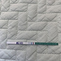 末次月经2月27，现在推迟14天，今天早上晨尿和中午都是意念灰。前几天去医院做b超内膜14mm，试纸阴性，...