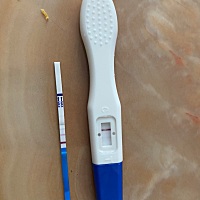 排卵期26号，今天测了一下，是怀了嘛 好激动呀呀