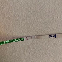 末次月经3月18日，今天一测，不是很明显，到底有没有怀啊