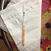 正常11或者12号月经，还是白板，希望又被浇灭了😭😭