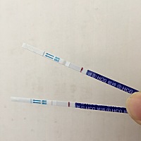 4月5号排卵的，前后都同房了，今天第八天测试了，白板💔