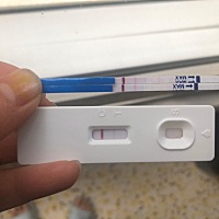 到4月1号的排卵日，12号的时候测啥也没有，昨天该来大姨妈没来的征兆，今早测了一下，这算不算怀孕。平...