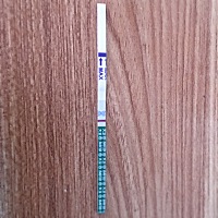 4.4号排卵，前后几天都有同房，今天16号，还是白板，好失望😞