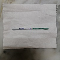 结婚一年多了，备孕一直没成年。今年最后一次月经是1月12来的，2月底有去抽血测了没怀，然后拖到4月1日...