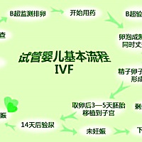 试管婴儿 是一项辅助生殖的技术，为万千家庭圆了宝宝梦。具体可分为5大步骤： 1、前期检查阶段：要对身...