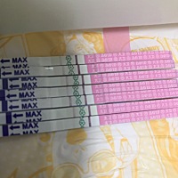 是不是已经排卵了？慢慢变浅了