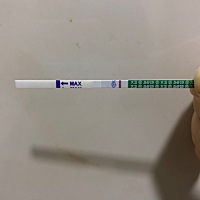 4月5号排卵日，还有5天姨妈日，今天好奇没忍住还是测了一下，这样是不是怀孕了？？