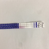 APP显示18或者19号排卵日，我从14号开始用排卵试纸测试，都是白板，是要到排卵日当日才会双杠显示还是前...