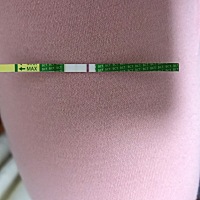 大家能看见嘛？又是没有？我末次月经3.17，周期28天，排卵日比软件晚了七天，安排了两次，分别前一天和...
