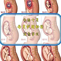 十月怀胎，十大注意事项！