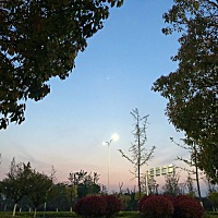 1号排卵日，16号月经期，今天18号 测 白板，可是月经也没来，胸有点疼，口渴，嗜睡。有木有同期的人