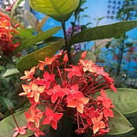 各位伙伴，近亲家这几天要生娃，送什么好，宝宝的衣物和其他该准备的他们自己都买了