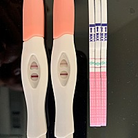 左边这个是刚测的，左边第二个是前天，左边三个试纸是这几天早中晚不定时测的，上个月月经是3月22，排卵...