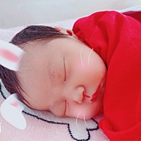 怎么这么萌萌哒呢