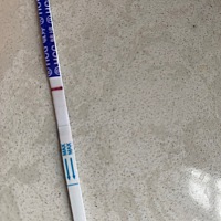 多囊➕双输卵管通而不畅 促排卵一次失败 然后减肥 排卵日是6号 按推算今天来月经的 还没来 感觉十分钟后...
