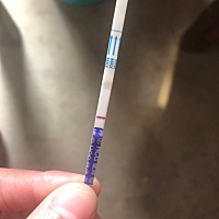 看来鼠宝宝没希望了