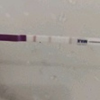 3月28号来月经，四月5号结束，大概4月13号排卵，没有测排卵，期间一直有同房，4月22号用排卵试纸测是弱...