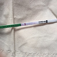 上个月23号来的例假，这个月没来，测了，姐妹们帮我看看来着。