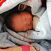 昨天二宝39 3剖腹产出生了，毫无悬念男孩，7.7斤重。二胎剖腹产比一胎要疼很多，所以建议宝妈们二胎剖腹...