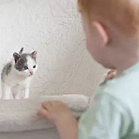 相信所有的家长都希望自己的宝宝是个爱学习的好宝宝，不过小孩子往往没有那么多的耐心，对于看绘本也不...