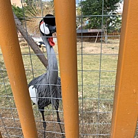 你们有没有同一天排卵的吗？我还有希望吗