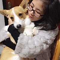 17   19     21……