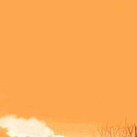 问一下各位有经验的宝妈 排卵试纸和早孕试纸放在同一杯尿液中检测 是不是会串色 我单独测早孕就没有。放...