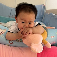 小牛这几天又要出牙了，之前出了6只，现在又准备出新的牙齿，又是漏口水，又是牙瘾，脾气又燥，连续三天...