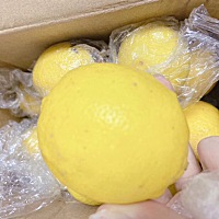 等待好结果，想要大宝贝