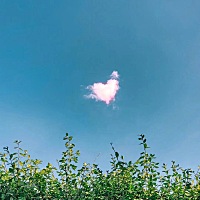 有谁家的宝宝最近像小老虎一样低吼？狗护食似的，是不是喉咙不舒服的表现啊？各位有经验的宝妈指点一下