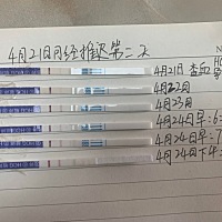 4月20推迟第一天灰印 没贴