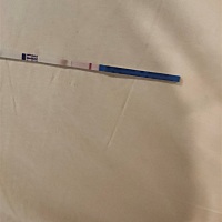 这个是什么意思我好慌