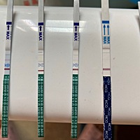 从右往左依次排列，啥时候应该去查血呢