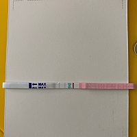 看到大家用排卵试纸测早孕，4月5号末次月经，19号排卵。今早测显示阴性 是不是没怀上？