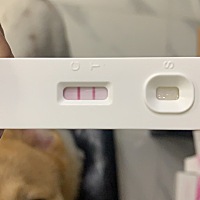 这真是让人猝不及防，我家还有两只狗狗，哎，都不知道咋办了。准备再等等，下周去医院检查下