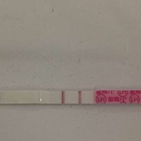 准备去做个生育评估，是要排卵期吗？我测的金.秀.儿的排卵试纸如图，可以去检查吗？