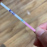 32.5。第①次第①天