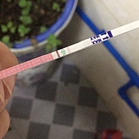 我咋搞啊，现在又到了排卵期了