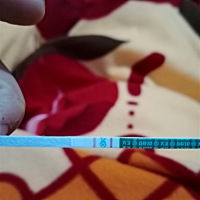 这是怀孕了吗