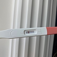 末次月经3月27号 4月12号排卵日 月经推迟一天 今天试了一下 这是怀孕了吗？