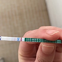 4月14号排卵，备孕中，明天到了姨妈日，大家帮我看看是啥意思